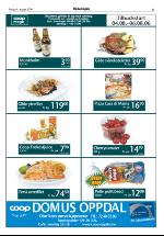 opdalingen-20060804_000_00_00_005.pdf