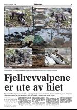 opdalingen-20060810_000_00_00_009.pdf