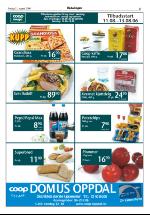 opdalingen-20060811_000_00_00_005.pdf