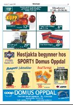 opdalingen-20060817_000_00_00_009.pdf