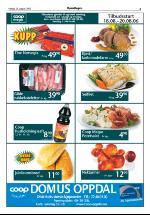 opdalingen-20060818_000_00_00_005.pdf