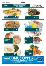 opdalingen-20060901_000_00_00_005.pdf