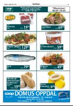 opdalingen-20060908_000_00_00_005.pdf