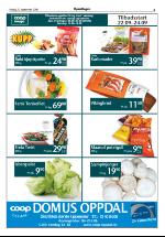 opdalingen-20060922_000_00_00_005.pdf