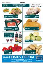 opdalingen-20060929_000_00_00_005.pdf