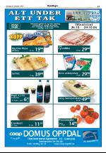 opdalingen-20061026_000_00_00_021.pdf