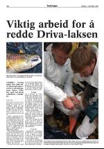 opdalingen-20061103_000_00_00_014.pdf