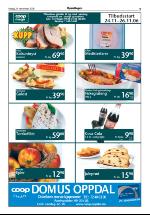 opdalingen-20061124_000_00_00_009.pdf