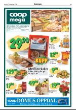 opdalingen-20061207_000_00_00_009.pdf