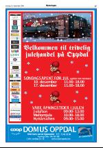 opdalingen-20061214_000_00_00_017.pdf