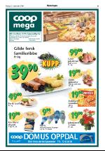 opdalingen-20061222_000_00_00_009.pdf