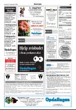 opdalingen-20061228_000_00_00_027.pdf