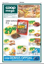 opdalingen-20070105_000_00_00_005.pdf