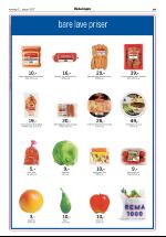 opdalingen-20070111_000_00_00_019.pdf