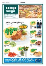 opdalingen-20070112_000_00_00_005.pdf