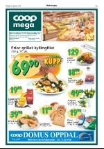 opdalingen-20070119_000_00_00_011.pdf