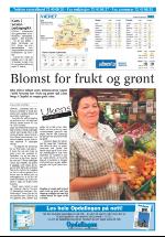 opdalingen-20070119_000_00_00_028.pdf