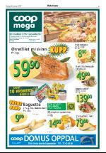 opdalingen-20070126_000_00_00_005.pdf