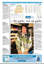 opdalingen-20070126_000_00_00_028.pdf