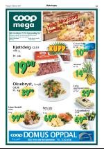 opdalingen-20070209_000_00_00_013.pdf