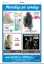 opdalingen-20070209_000_00_00_015.pdf