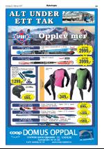 opdalingen-20070222_000_00_00_023.pdf