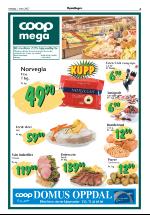 opdalingen-20070301_000_00_00_005.pdf