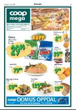 opdalingen-20070315_000_00_00_005.pdf