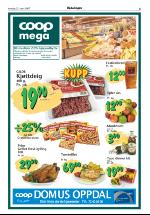 opdalingen-20070322_000_00_00_005.pdf