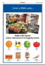 opdalingen-20070329_000_00_00_048.pdf