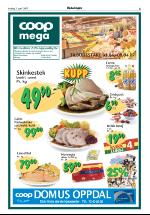 opdalingen-20070403_000_00_00_005.pdf