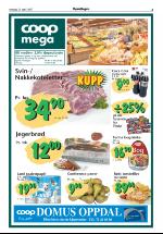 opdalingen-20070419_000_00_00_005.pdf