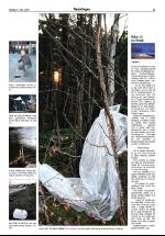 opdalingen-20070505_000_00_00_005.pdf