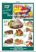 opdalingen-20070510_000_00_00_005.pdf