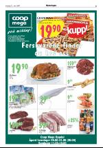 opdalingen-20070531_000_00_00_005.pdf