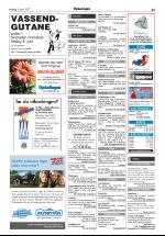 opdalingen-20070605_000_00_00_023.pdf