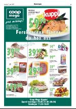 opdalingen-20070607_000_00_00_005.pdf