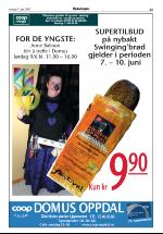 opdalingen-20070607_000_00_00_023.pdf