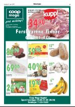 opdalingen-20070614_000_00_00_005.pdf