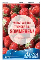 opdalingen-20070614_000_00_00_015.pdf