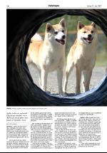 opdalingen-20070623_000_00_00_014.pdf