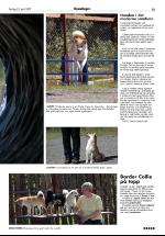 opdalingen-20070623_000_00_00_015.pdf