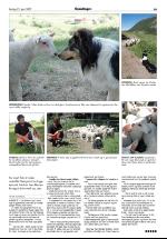 opdalingen-20070623_000_00_00_019.pdf