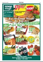 opdalingen-20070628_000_00_00_005.pdf