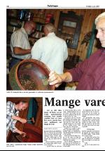 opdalingen-20070703_000_00_00_010.pdf