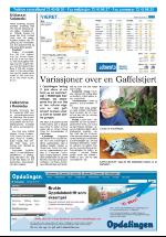 opdalingen-20070703_000_00_00_024.pdf