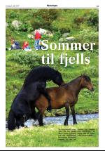 opdalingen-20070705_000_00_00_013.pdf