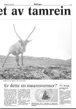 opdalingen-20070717_000_00_00_005.pdf