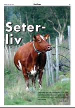 opdalingen-20070728_000_00_00_011.pdf