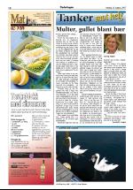 opdalingen-20070818_000_00_00_012.pdf